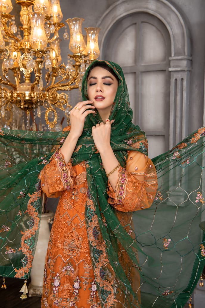 chiffon dress Pakistan